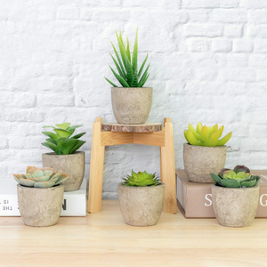 Plantas Suculentas Artificiales Decorativas en Maceta, Cactus Falso, Aloe en Macetas de Pulpa de Papel, Planta Artificial de Plástico Reciclable - Product Image 3