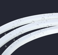 Bande LED néon flexible SMD2835 10x10mm 24V |   Embouts de finition pour néons adressables IP65 en silicone, température de couleur 2700K-6000K