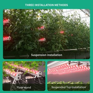 Barra de LED de Espectro Completo LM301H <span class=keywords><strong>Evo</strong></span> IP65 Resistente al Agua de 72W/100W/120W y 1680 Mol/s para Cultivo de Plantas en Invernadero e Hidroponía - Product Image 2
