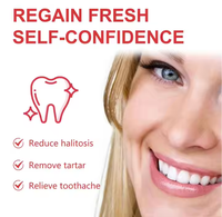Comprimés de dentifrice Permiun pour une haleine fraîche, protection naturelle contre le tartre, protection de l'émail, saveur menthe, fabricant de comprimés de dentifrice