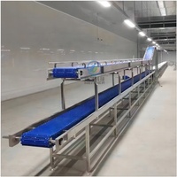 Automatische vleesverwerkings- en snijlijn van roestvrij staal voor het portioneren van vlees in voedingsmiddelenfabrieken