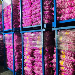 <span class=keywords><strong>Ajo</strong></span> Crudo de Piel Morada Característico de Henan, Cultivado con Cuidado, Picante y Especiado, Gran Éxito de Ventas en Todo el Mundo - Product Image 6
