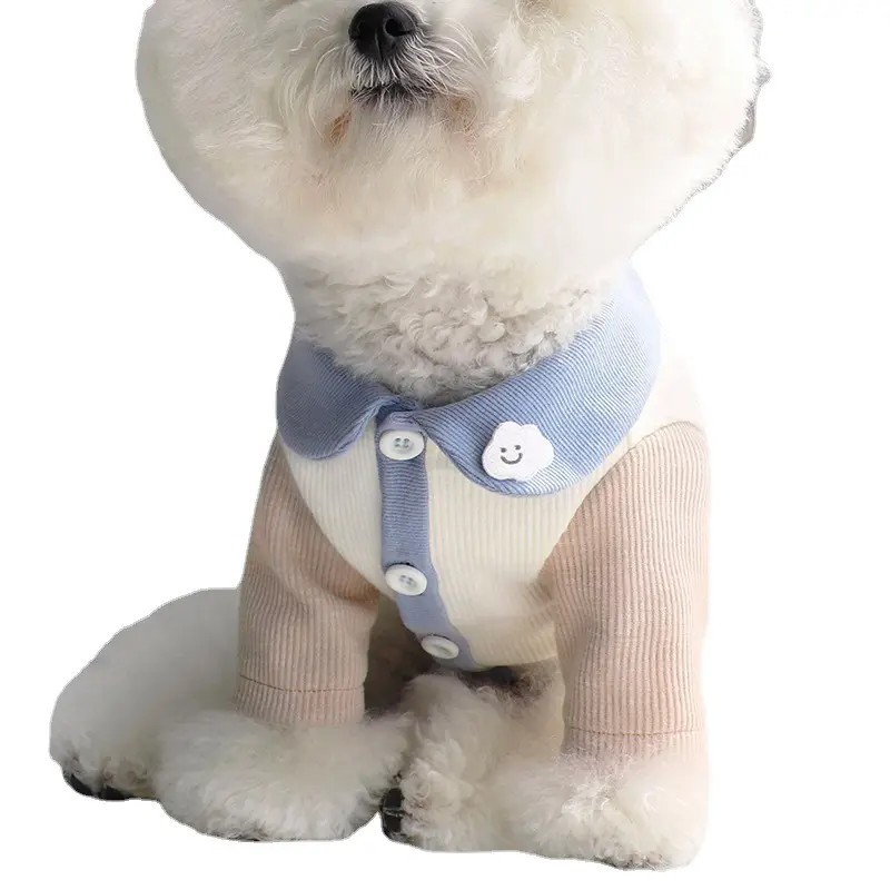 Tik-Tok Hot Selling Nieuwe Collectie 100% Katoen Korte Hond Kleding Twee-Legged Leuke Pet Kleding