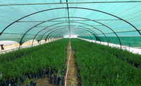 Filet d'ombrage résistant aux UV, directement de l'usine