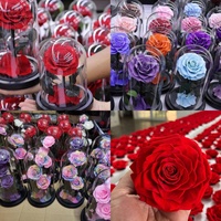 Couverture de plantes de fleurs conservées pour la Saint-Valentin personnalisée à la main Cadeau romantique Roses pour toujours Roses conservées dans un dôme en verre