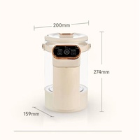 Bouilloire Électrique en Verre Borosilicate Grande Capacité 4L, 800W, Température Réglable, Vente en Gros, Fabrication Personnalisée