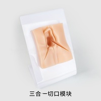 Modèle de pratique de suture en obstétrique et gynécologie Module de formation à la suture vulvaire périnéale Simulateur de compétences de suture avancé