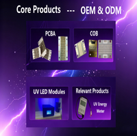 Maßgefertigtes UV-LED 254nm 255nm 265nm UV-LED-Modul UV-Lampe für Wassersterilisator Trinkwasser-Desinfektionslampe
