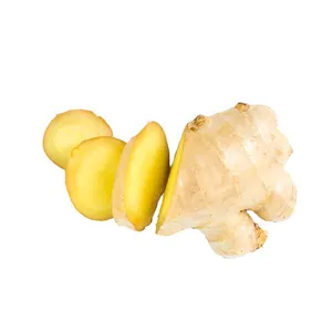 Wholesale 100% Pure Natural Fresh Ginger Essential Oil Manufacturer and Supplier With Low Price in China