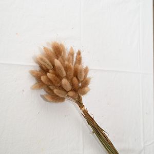 M714 <span class=keywords><strong>bouquet</strong></span> décoratif longue durée 60 <span class=keywords><strong>fleurs</strong></span> séchées naturelles queue <span class=keywords><strong>de</strong></span> lapin Bouquets d'herbe avec sac Opp - Product Image 2