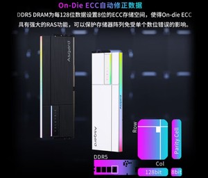 Asgard DDR5 16GB 6000MHz Memoria <span class=keywords><strong>RAM</strong></span> Función ECC para escritorio - Product Image 6