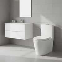 WC moderne en céramique Toilette monobloc articles sanitaires de gros pour une utilisation en appartement