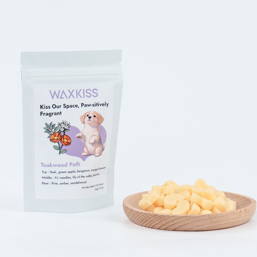 ทางเดินไม้สัก