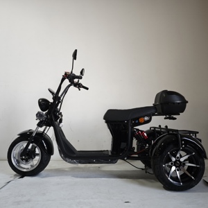 <span class=keywords><strong>Scooter</strong></span> électrique pour adultes E Trike 2000W avec pneus larges, moto électrique, démarrage par carte NFC - Product Image 3