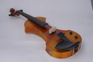 Đàn Vĩ Cầm Điện Chuyên Nghiệp Tùy Chỉnh AileenMusic, Đàn Violin Điện 4/4 Kích Thước Đầy Đủ, Linden Kèm Cây Cung Brazilwood (VE502)