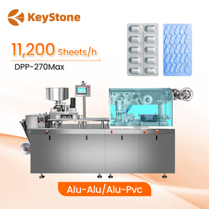 Máquina Selladora de Blísteres de PVC y Aluminio para Cápsulas Planas de Alta Velocidad Automática DPP-250 - Product Image 1
