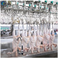 Petite machine d'abattage de poulet, plumeuse de poulet 300-500BPH ligne d'équipement d'abattage de volaille en afrique du sud