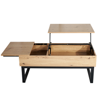 Table basse moderne en plastique avec plateau relevable, rangement dissimulé, étagère réglable, meubles de salon