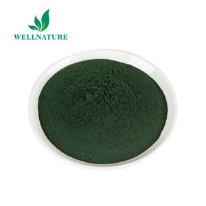 Bubuk klorofil murni organik alami harga grosir ekstrak E141 klorofil Super - Product Image 2