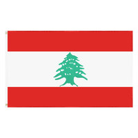 Drapeau du Liban et de la Tunisie Xingchi Novelty 3x5 pieds en polyester, design unique, imperméable, écologique, impression numérique, portable