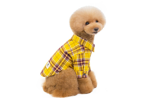 <span class=keywords><strong>Accesorios</strong></span> <span class=keywords><strong>para</strong></span> Mascotas, Ropa <span class=keywords><strong>para</strong></span> Mascotas a Rayas, Ropa <span class=keywords><strong>de</strong></span> Verano <span class=keywords><strong>para</strong></span> Perros, Chaquetas <span class=keywords><strong>de</strong></span> Primavera <span class=keywords><strong>para</strong></span> Perros, Ropa <span class=keywords><strong>para</strong></span> Mascotas <span class=keywords><strong>de</strong></span> Tela a Cuadros, <span class=keywords><strong>Accesorios</strong></span> <span class=keywords><strong>para</strong></span> Perros - Product Image 6