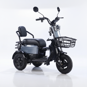 รถสามล้อไฟฟ้า ปี 2024 แบบความเร็วเดียว 48V โครงเหล็กกล้าคาร์บอนสูง ไฟ LED 500W บรรทุกของ 12 ล้อ - Product Image 1