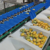 RVS PLC tomaten-, knoflook-, ui-sorterings- en -gradeermachine voor kip, rivierkreeft, zeevruchten, fruit en groenten, food grade