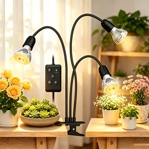 Remote Control Timed Landing <b>Plant</b> Growth Lamp Small Area Indoor Green <b>Plant</b> Succulent Coloring and Cultivation Lamp - Product Image 1
