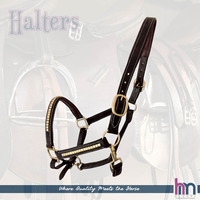 Cabestro para Caballo Clincher HM GLOBAL DD de Cuero con Adornos de Latón Dorado, Piezas para las Mejillas y Narigueira con Acolchado Suave, Duradero, Cómodo y Elegante