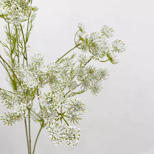 M-1147 Offre Spéciale Queen Anne's Dentelle Fleurs Artificielle <span class=keywords><strong>Fleur</strong></span> Sauvage Faux Ammi Majus pour La Maison De Mariage <span class=keywords><strong>D</strong></span>écor - Product Image 5