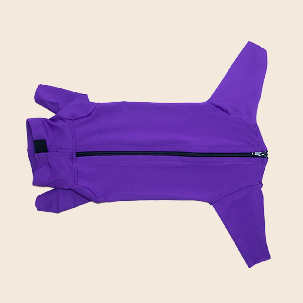 Viola