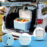 Boîte isotherme portable mini 10qteps pour aliments, congélable, avec poignée robuste, idéale pour le camping et les pique-niques en extérieur