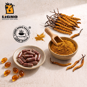 LiGNO OCS02 Ophiocordyceps Sinensis Liquide |   Eau |   Ingrédient nutraceutique pour l'énergie et la vitalité |   Qualité alimentaire |   GMP Malaisie - Product Image 1