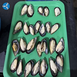 SANFENG SEAFOOD: Cozze Verdi Congelate con Mezza Conchiglia in Offerta a Prezzo All'Ingrosso - Product Image 2