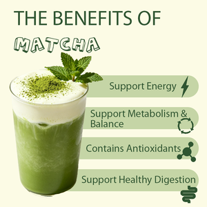 Poudre de Matcha Bio OEM/ODM à succès, onctueuse et intense, idéale pour les lattes quotidiens, la pâtisserie et l'énergie, favorise l'énergie et la digestion - Product Image 3
