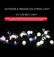 Guirlande lumineuse LED à bulles de cristal E17 personnalisée, étanche IP65, pour intérieur, extérieur, jardin, fête, Noël, décoration