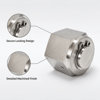 Bouchon hexagonal NPT en acier inoxydable forgé haute pression pour système de distribution de fluides et de gaz industriels