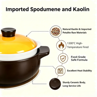 Casserole vapeur en céramique à 2 niveaux, avec revêtement alimentaire, fond plat, pour cuisinière à gaz, ensemble de cuisson 2-en-1, nouveau style chinois