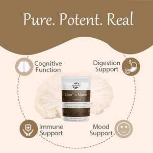 Suplemento de Melena de León OEM/ODM, Extracto de Melena de León en Polvo para el Bienestar General, la Función Cognitiva y la Digestión - Product Image 3
