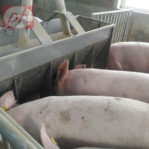 ตู้เลี้ยง201สำหรับเลี้ยงหมูในฟาร์มเลี้ยงหมูใช้สำหรับเลี้ยง304พีเอช - Product Image 4