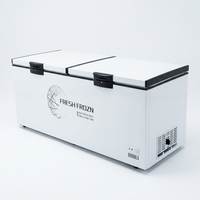 Congélateur coffre compact commercial à température unique, écoénergétique, avec étagères réglables et écran LED – Offre Spéciale