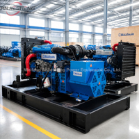 Groupe électrogène diesel silencieux Baudouin 20kw 30kw 50kw, moteur diesel, sortie directe usine, 50/60hz, triphasé