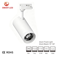 Luces LED de Riel COB Inteligentes y Modernas de Aluminio, 0-10V Dali Tuya, Regulables, con Haz de Luz Estrecho Ajustable de 10-55 Grados, 30W/35W, Alto CRI