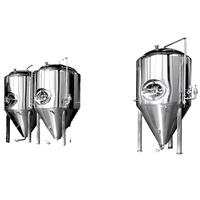 Équipement de micro-brasserie domestique 1000L avec cuve de fermentation pour la bière