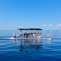 Bateau de tourisme transparent à fond de verre de 5 à 8 m pour 10 à 12 personnes, bateau commercial avec moteur hors-bord