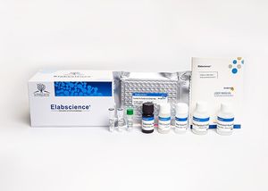 Kit ELISA QuicKey Pro Human E2, anticorps et réactifs, réduction spectaculaire - Product Image 4