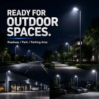 Lampadaire LED extérieur étanche IP66 en aluminium moulé sous pression pour routes publiques et parkings commerciaux, 50W, 100W, 150W, 200W, 300W