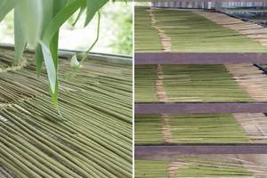 Varillas de Incienso de Eucalipto Orgánico Hechas a Mano de Primera Calidad, Hojas Naturales Ecológicas, Aromaterapia, Aroma Duradero, Meditación - Product Image 2