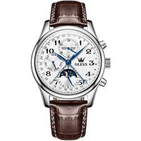 OLEVS 6667 OEM Montre de luxe squelette personnalisée lumineuse de marque supérieure pour hommes, en cuir, mécanique automatique