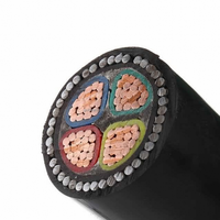 Cable de alimentación de baja tensión de cobre PVC HENAN GUOWANG VAV 600V 1000V 3X35MM 1X16MM 3X95MM 1X50MM2, retardante de llama IEC para estaciones de energía